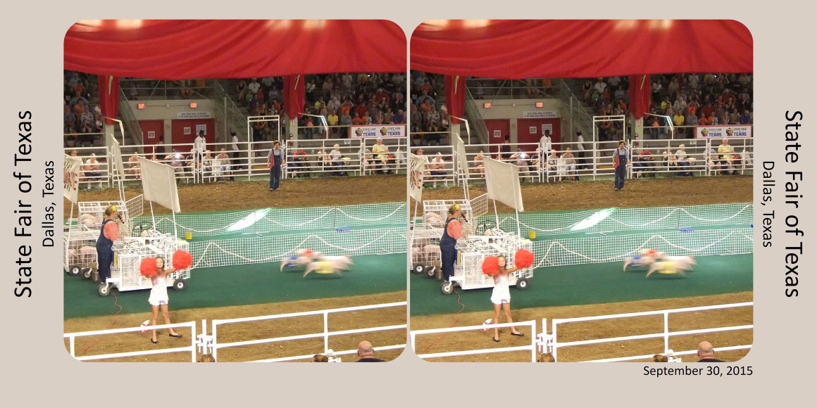 state fair 09
