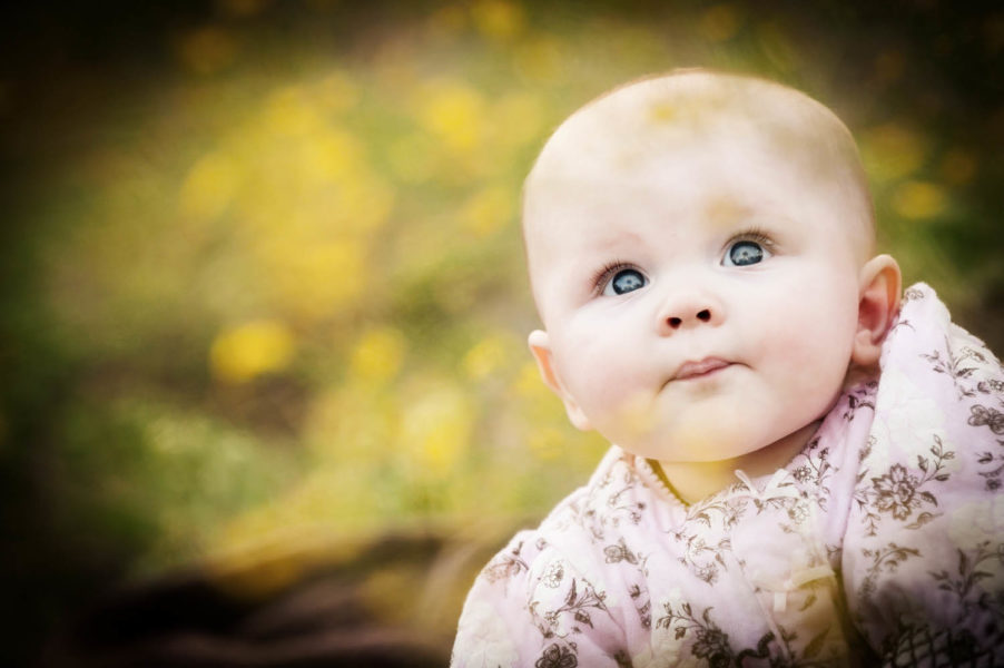 baby portraits in dallas